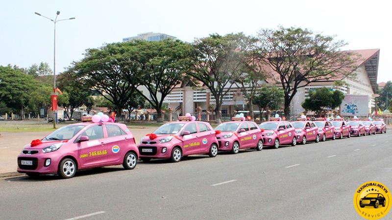 Taxi Hoàng Anh nổi bật với màu xe hồng