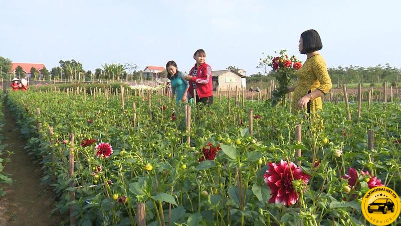 Làng vườn Bách Thuận sở hữu vẻ đẹp bình yên của vùng quê Việt Nam