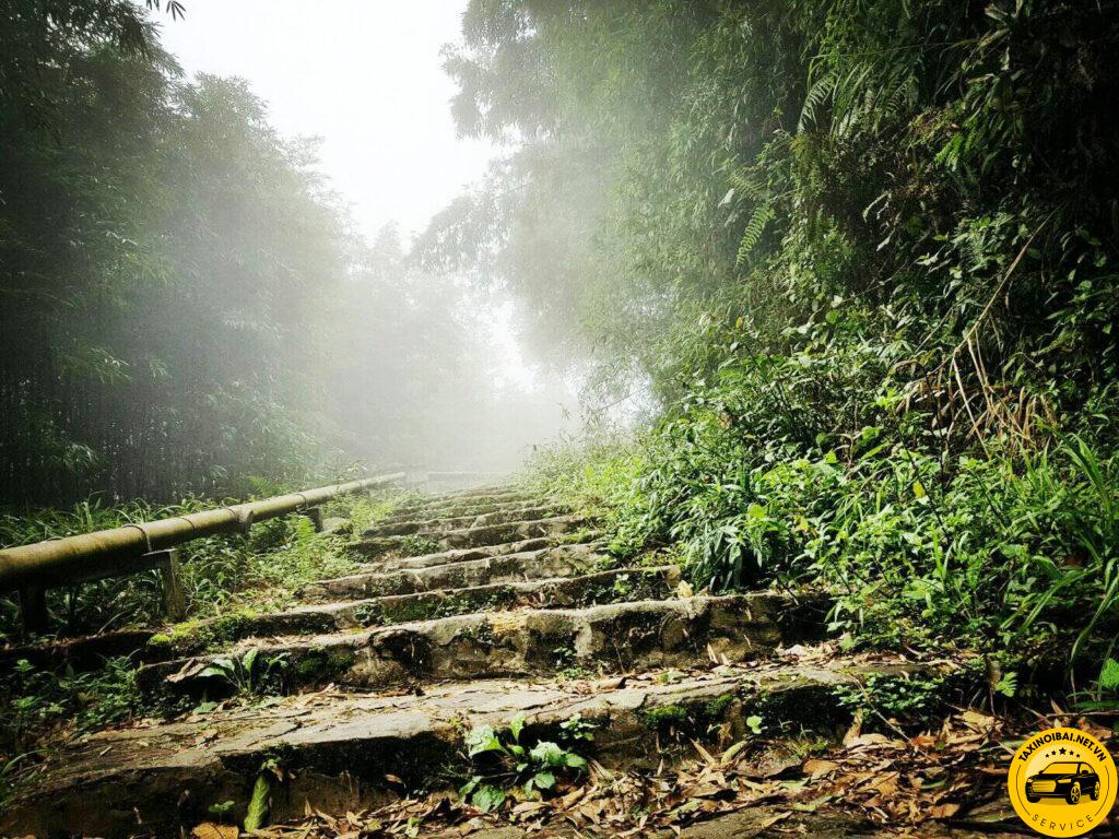 Duong len thap truyen hinh Tam Dao voi canh xanh phu kin nguon anh suu tap