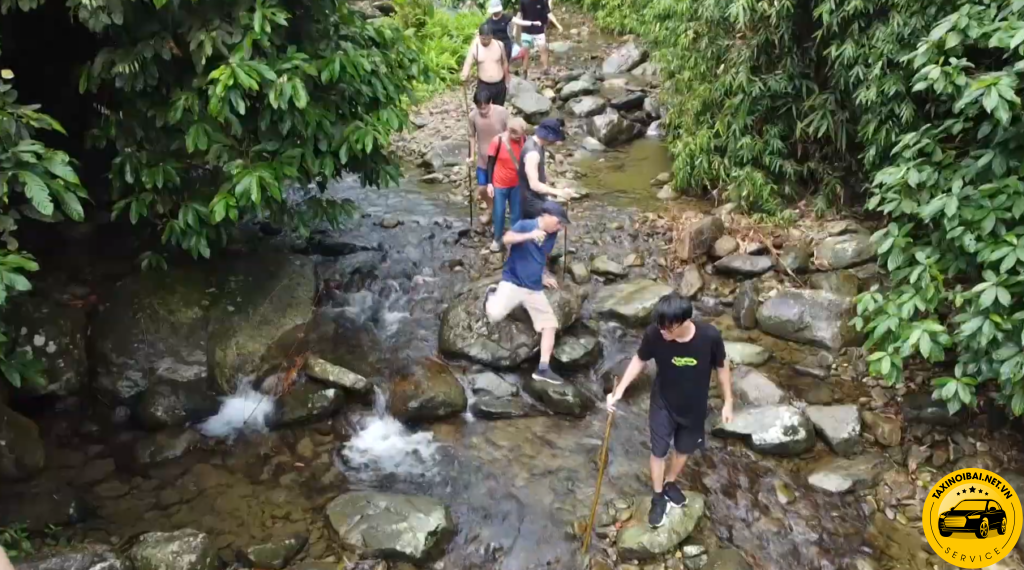 Trải nghiệm trekking câu cá cắm trại tại Vườn Quốc Gia Tam Đảo