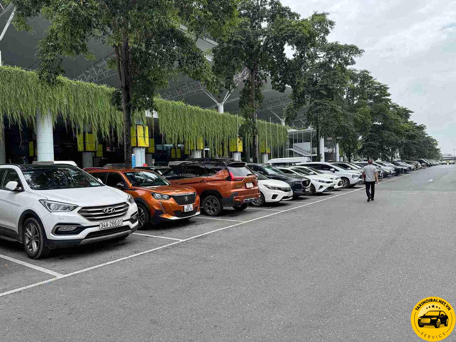 Taxinoibai.net.vn Ra Mắt Dịch Vụ Taxi Sân Bay Nội Bài Cao Cấp