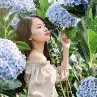 Chị Ngọc — ngoc***@gmail.com